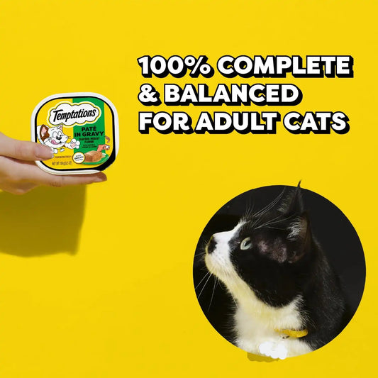Temptations Pate in Gravy Adult Wet Cat Food Seafood Medley Flavor, 3.5 oz. Trays (24 Count, Pack of 1)