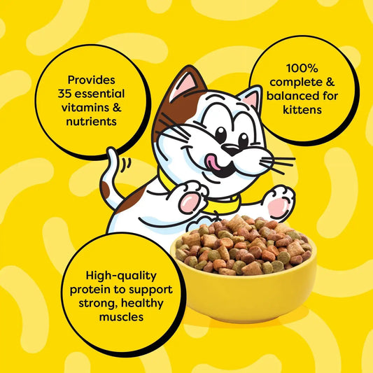 Temptations Kitten Cat Food Dry, Chicken & Dairy Kitten Food, 13.5 lb. Bag