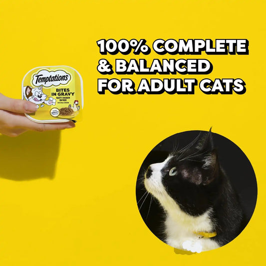 Temptations Bites in Gravy Adult Wet Cat Food Seafood Medley Flavor and Tasty Chicken Flavor, 3.5 oz. Trays (12 Count, Pack of 2)