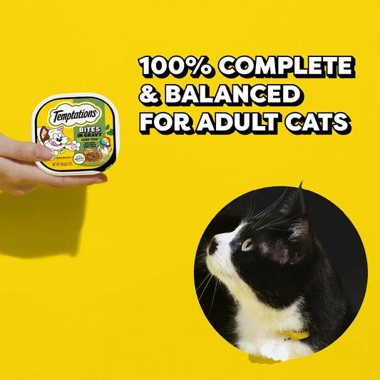 Temptations Bites in Gravy Adult Wet Cat Food Catnip Fever Flavor, 3.5 oz. Trays (24 Count, Pack of 1)